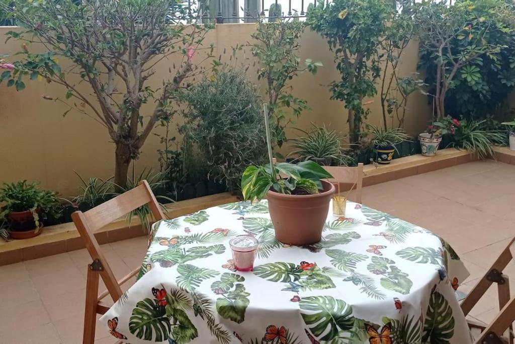 Casa El Sentir Apartment Sauzal Ngoại thất bức ảnh