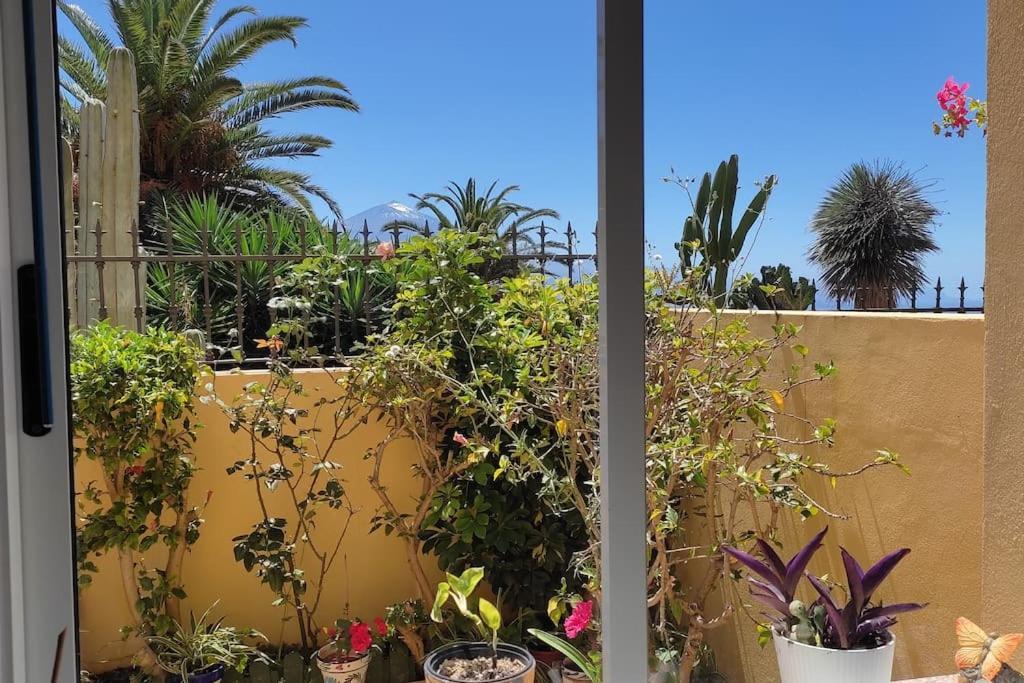 Casa El Sentir Apartment Sauzal Ngoại thất bức ảnh