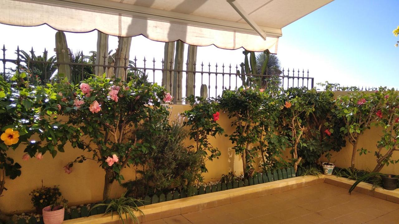 Casa El Sentir Apartment Sauzal Ngoại thất bức ảnh